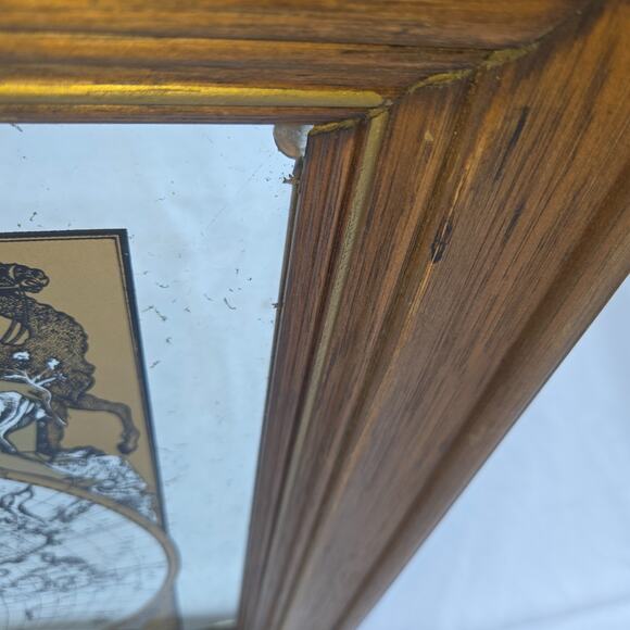 Vintage Frame Mirror Mappe Monde Du Globe World Map by Jan Barend Elwe 23 x 28 - Picture 12 of 16